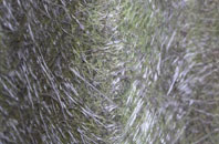 Silsoe fibreglass roof work